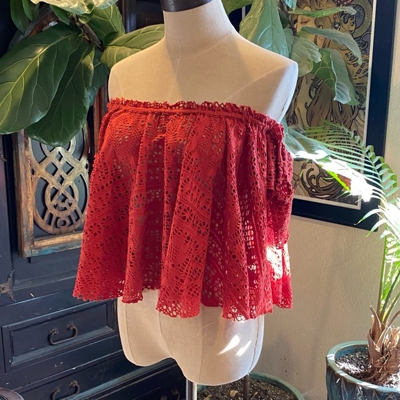 Free People Eyelet off shoulder crop peasant top in rust - Picture 5 of 15